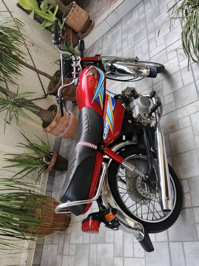 HONDA CD 70 2019 FOR SALE