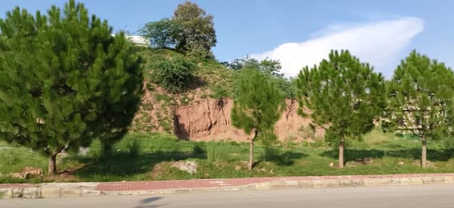 Over Seas 3 Main blvd 2 Kanal Plot for Sale