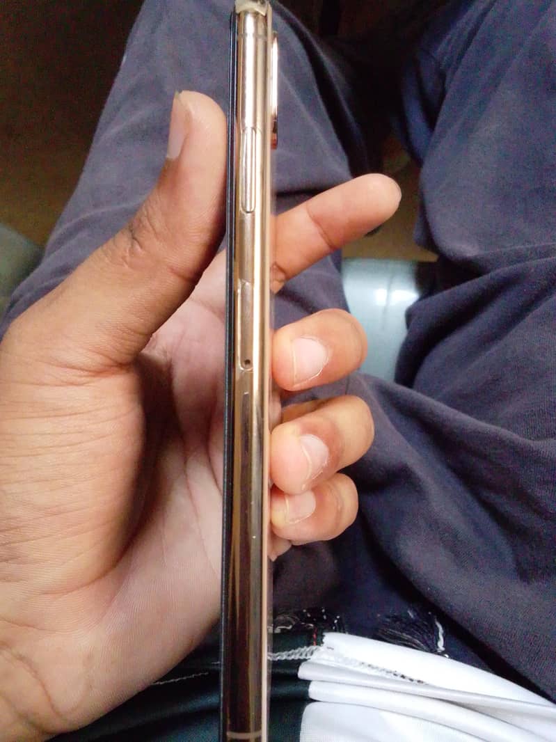 Apple iPhone XS Max 1