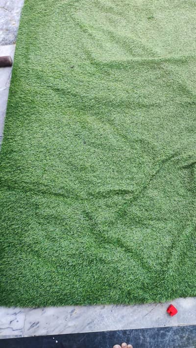 Grass Carpet