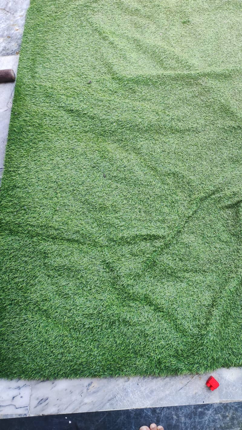 Grass Carpet 0