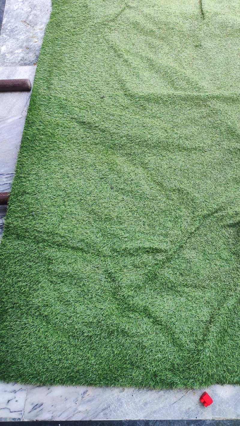 Grass Carpet 1