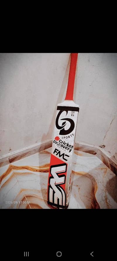 cricket bat