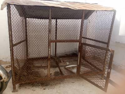 Cage for Sale.