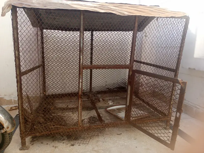 Cage for Sale.