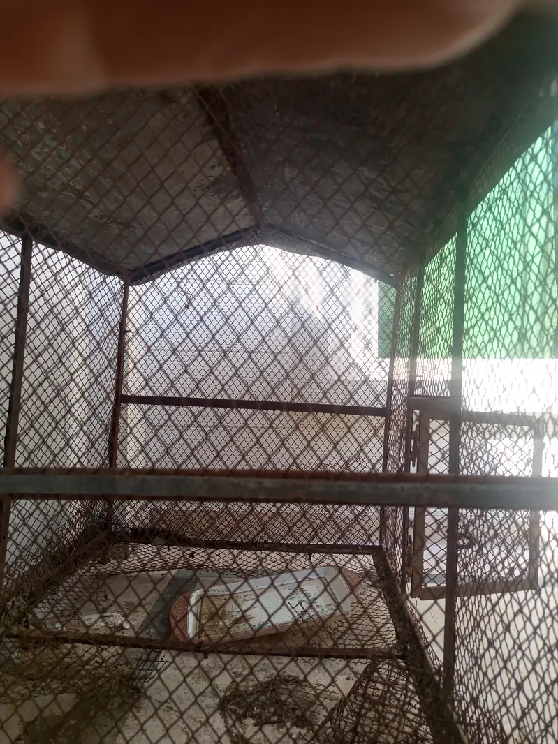 Cage for Sale. — photo 2