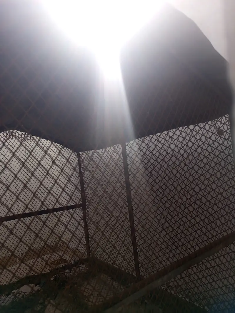 Cage for Sale. — photo 3