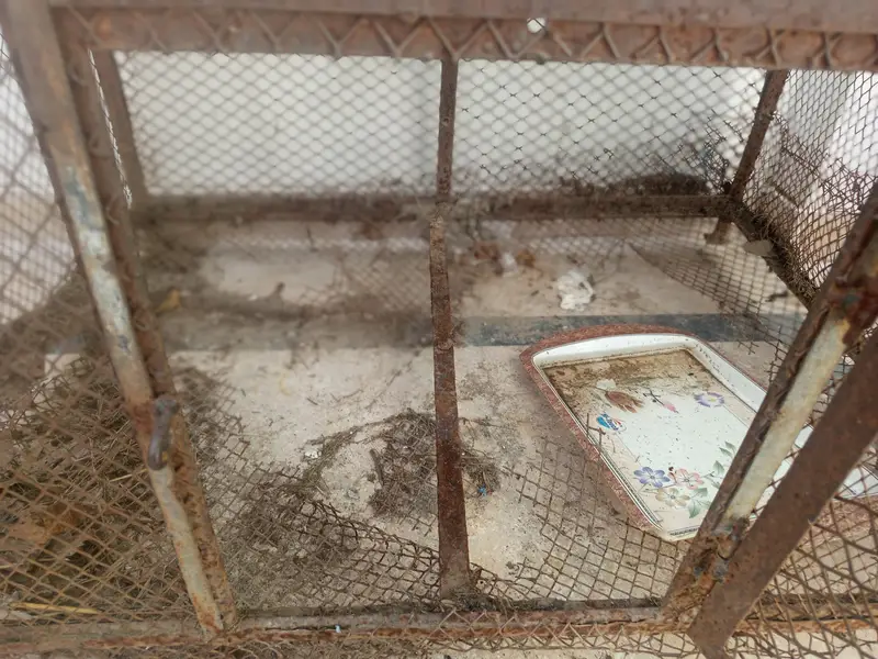 Cage for Sale. — photo 4