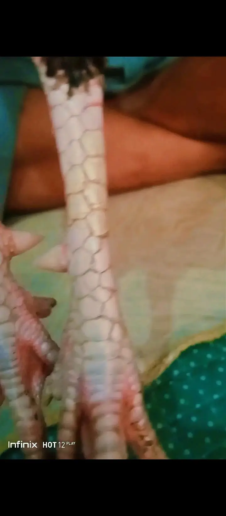 Hint+ Pakistani — photo 5