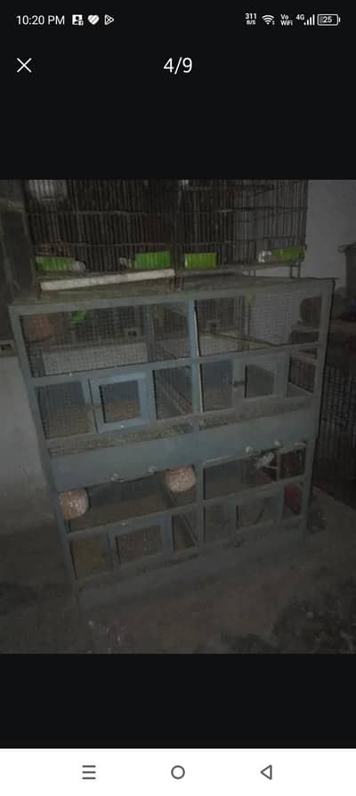 woodcage for sall