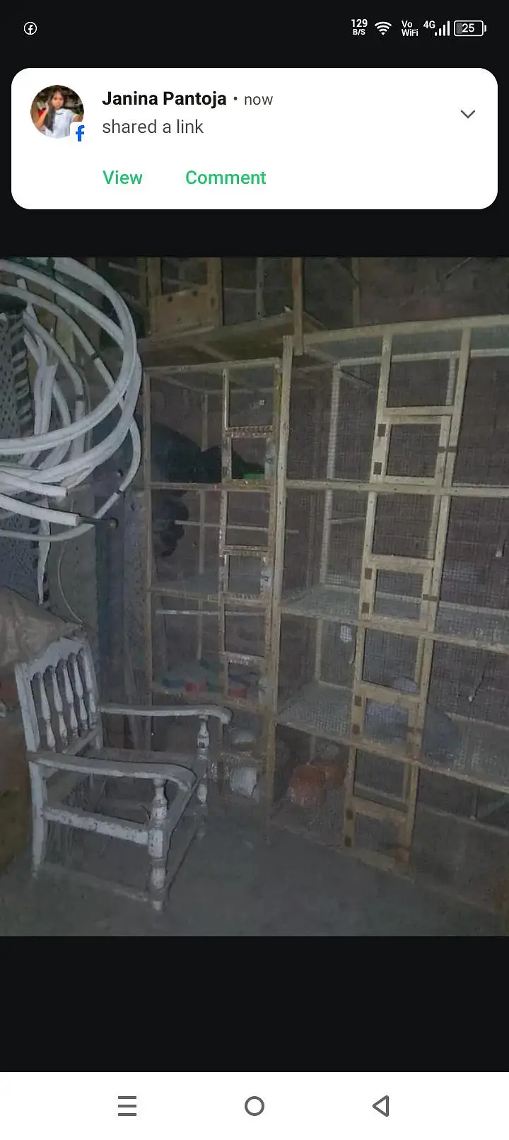 woodcage for sall — photo 3