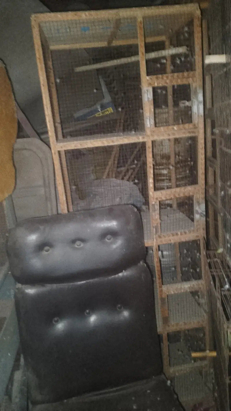 woodcage for sall — photo 6