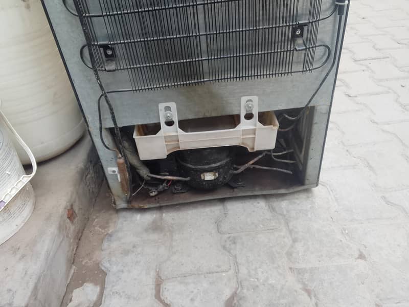friz new condition 11