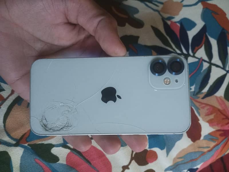 Apple iPhone 12 mini 1