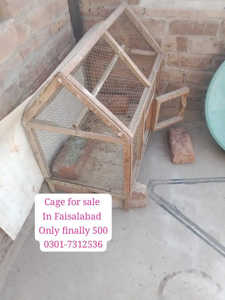 Cage Hen Khuda — photo 2