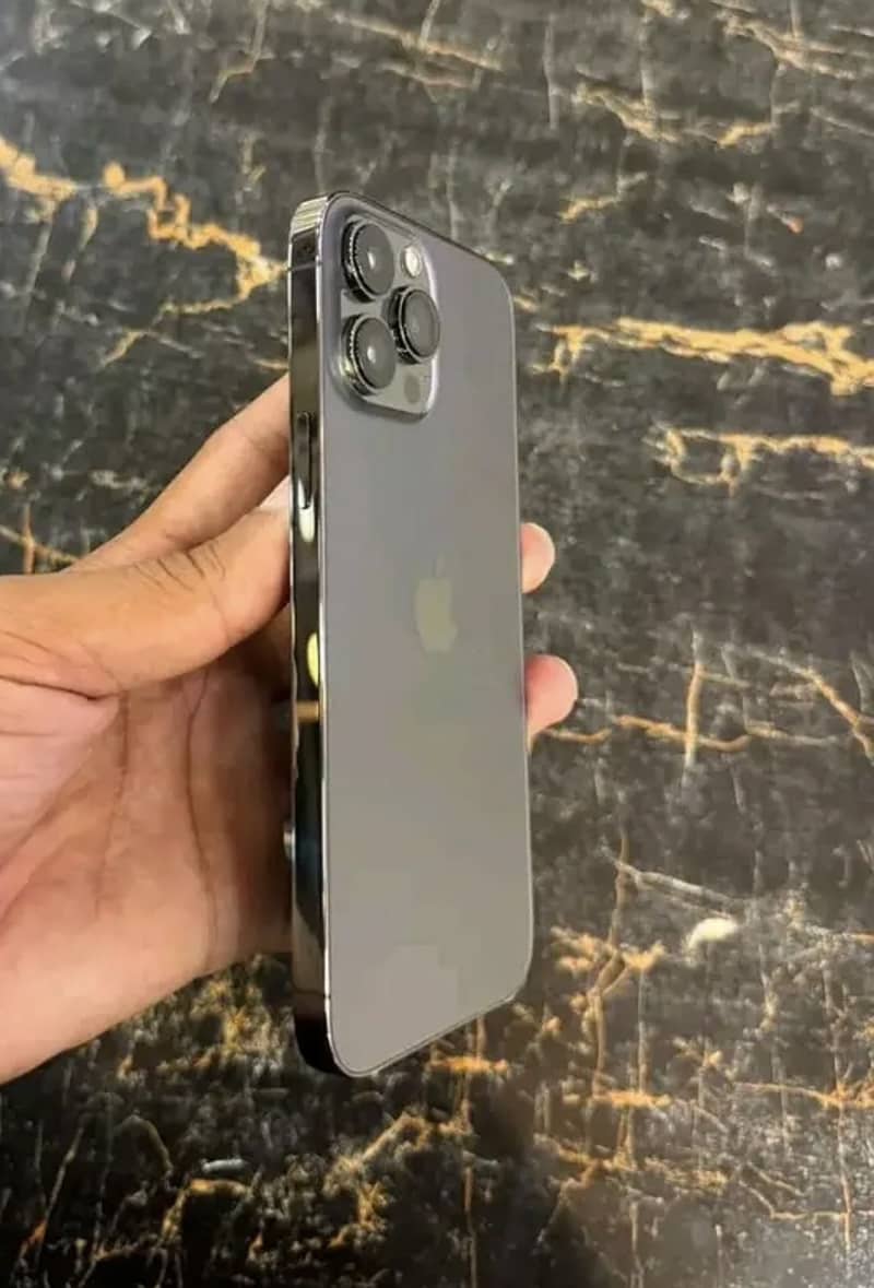 Apple iPhone 13 Pro Max 2