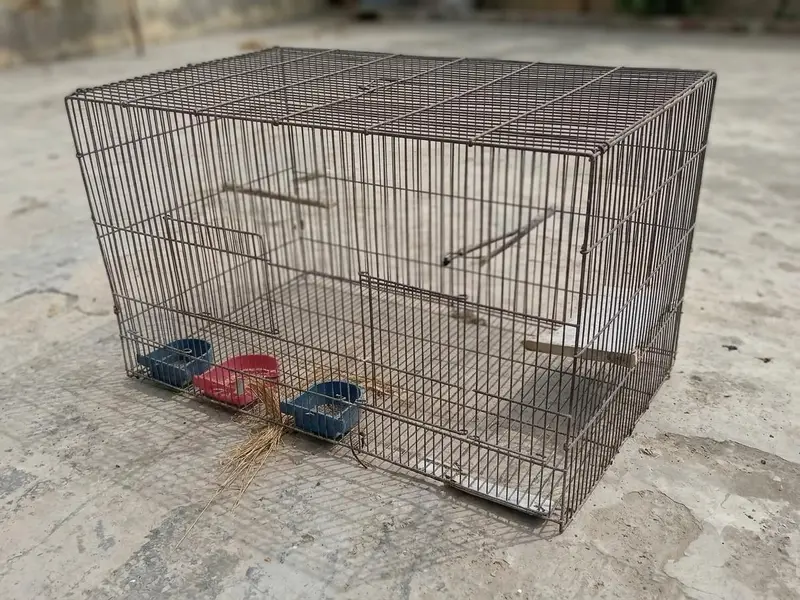 cage sell