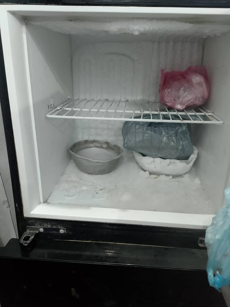 Fridge 1