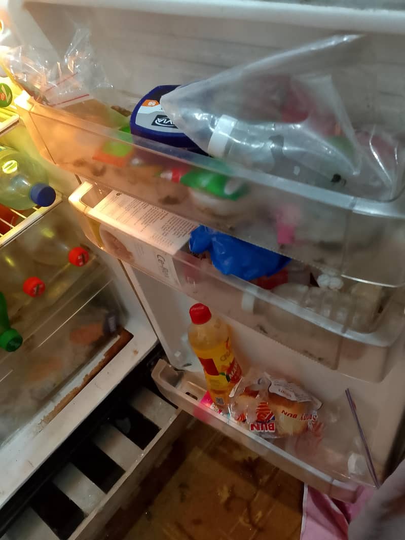 Fridge 3