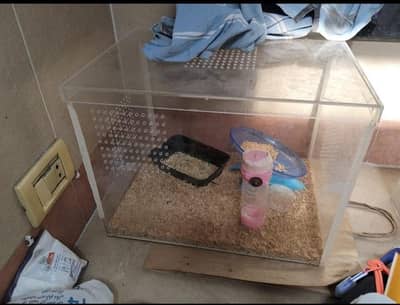 Hamster cage