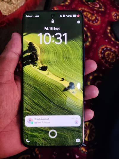 Vivo V80 Lite 5G 8/256