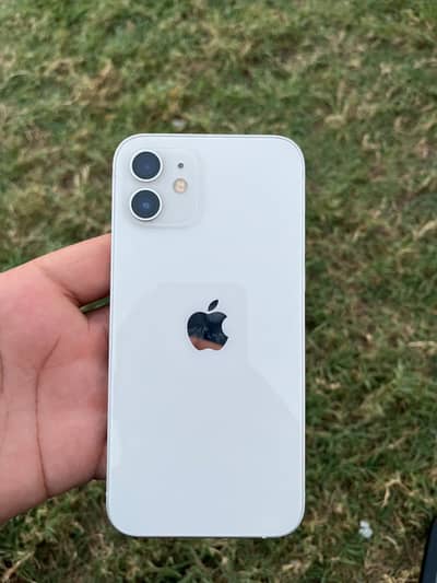 IPhone 12 Factory Unlock