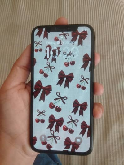 Apple iPhone X