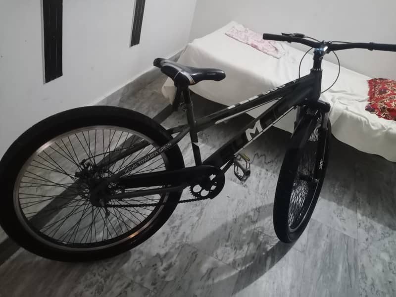 24"bycycle 1