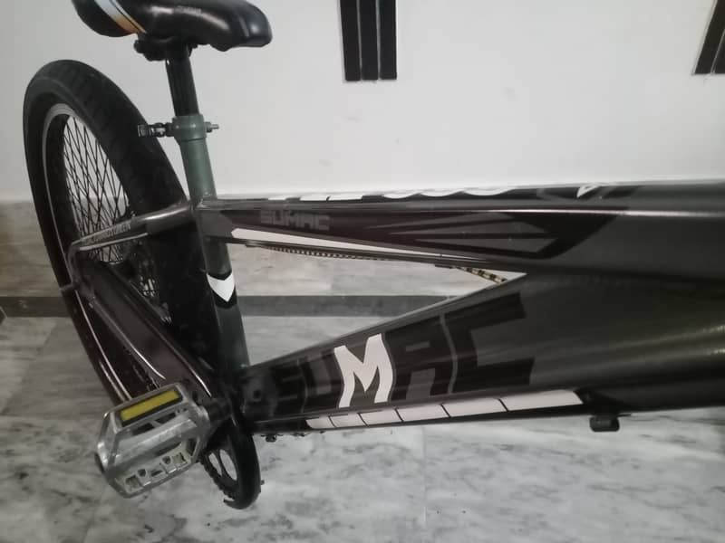 24"bycycle 2