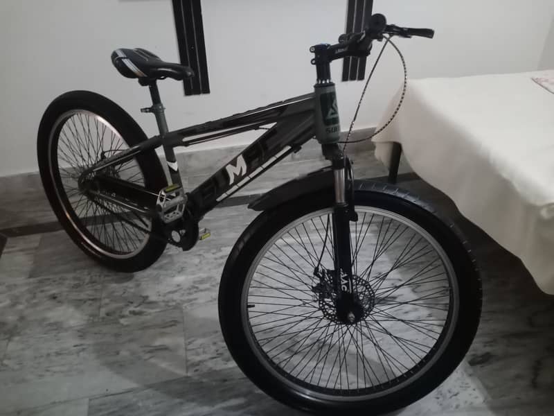 24"bycycle 3