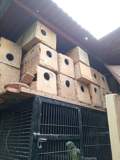 keker and pelai boxes
