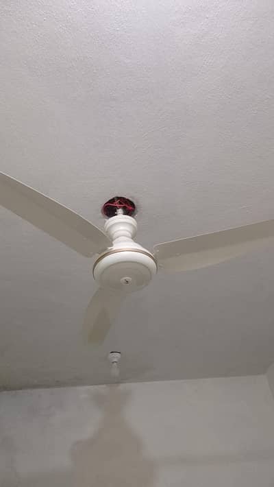 New fan hin sirf 4 mnt use hin ws3348638284