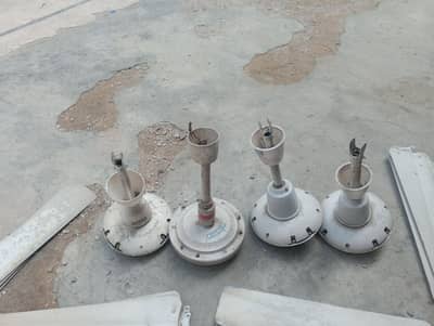 Celling Fans
