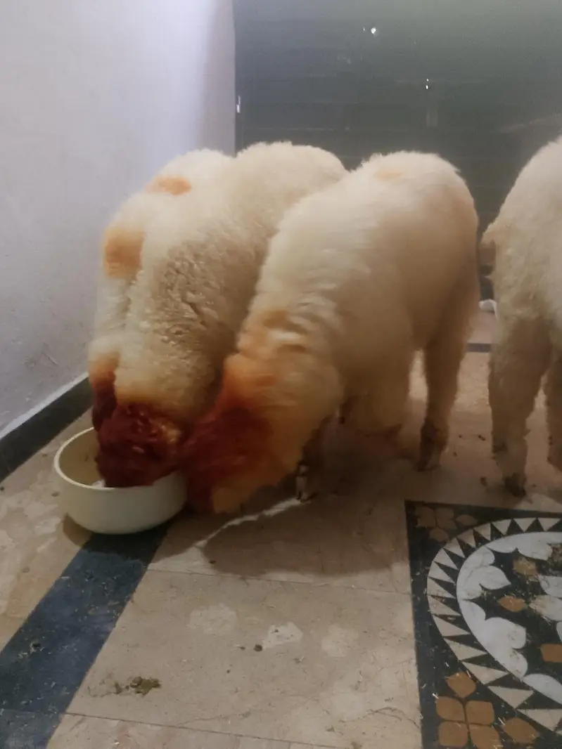 mundre o306,3888,171 — photo 4