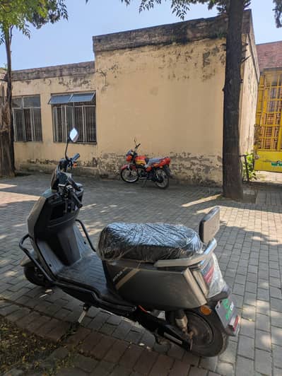 Eveoun Pronto Plus Scooty
