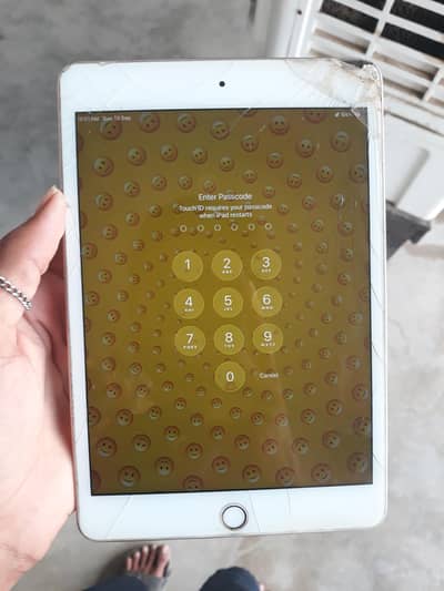 iPad mini 5