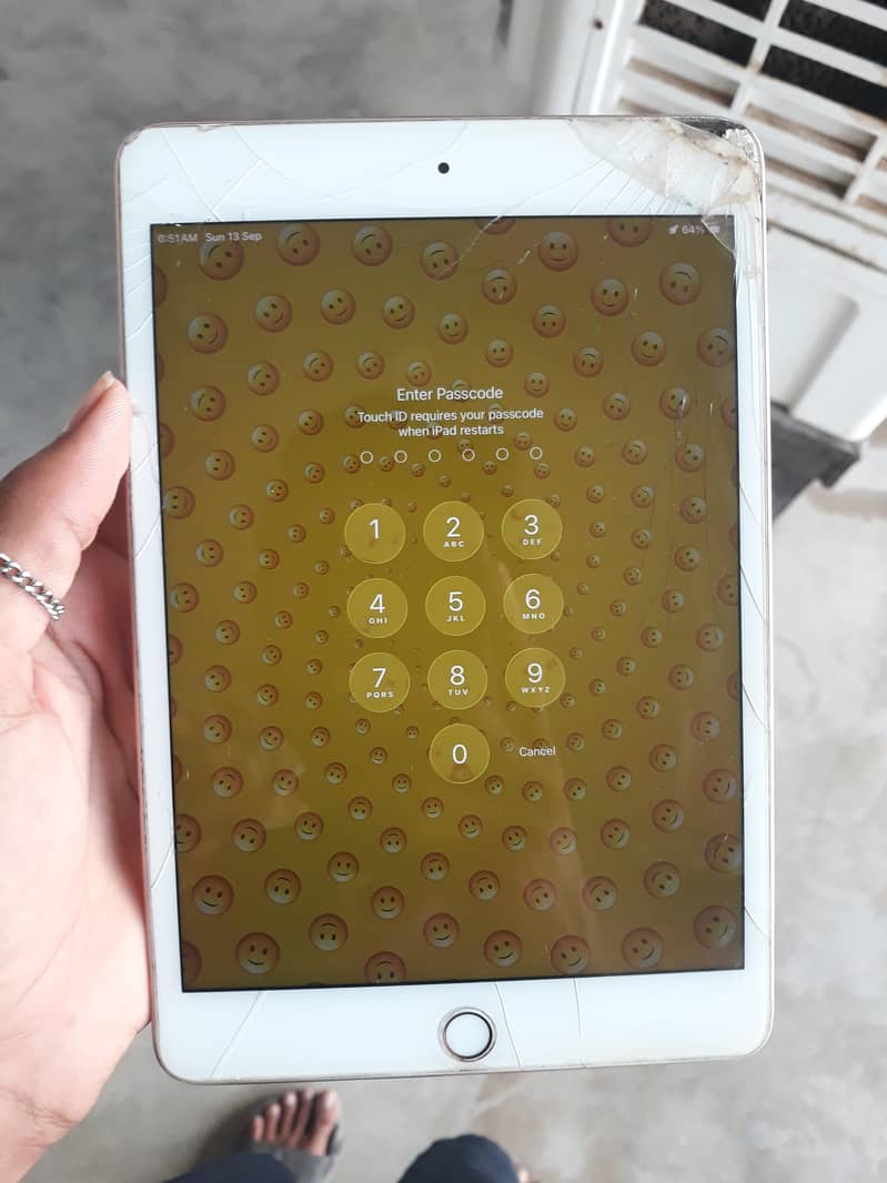 iPad mini 5 0