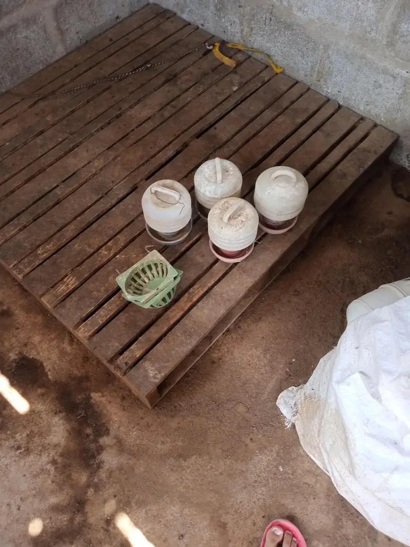 keker and pelai boxes — photo 4