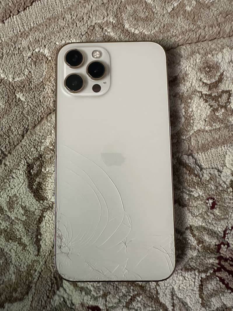 Apple iPhone 12 Pro Max 1