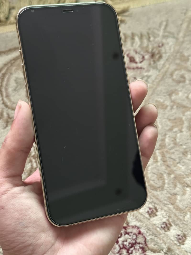 Apple iPhone 12 Pro Max 2