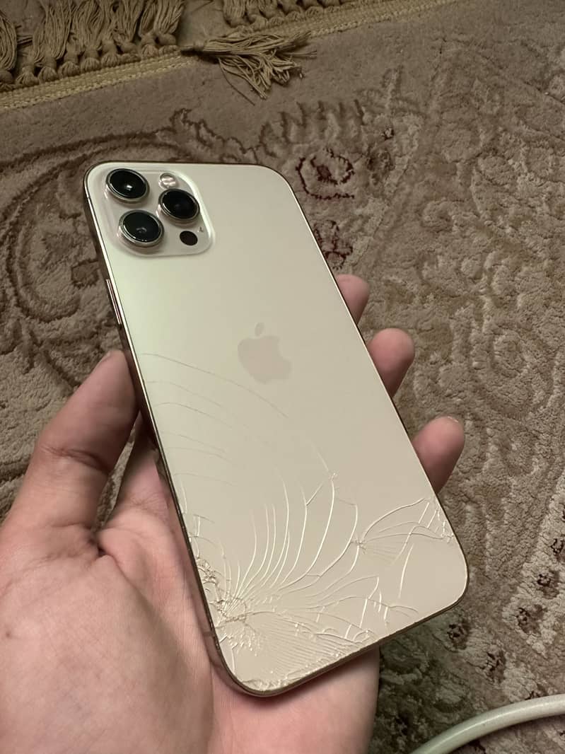 Apple iPhone 12 Pro Max 5