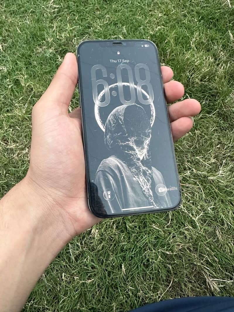 Apple iPhone 12 Pro Max 1