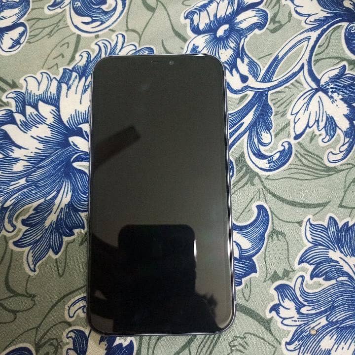Apple iPhone 11 1