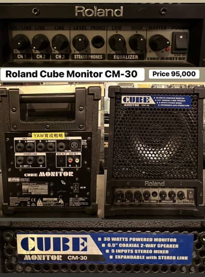 Roland Cube Monitor CM30 Guitar Amplifier/piano/keyboard/bass/electric