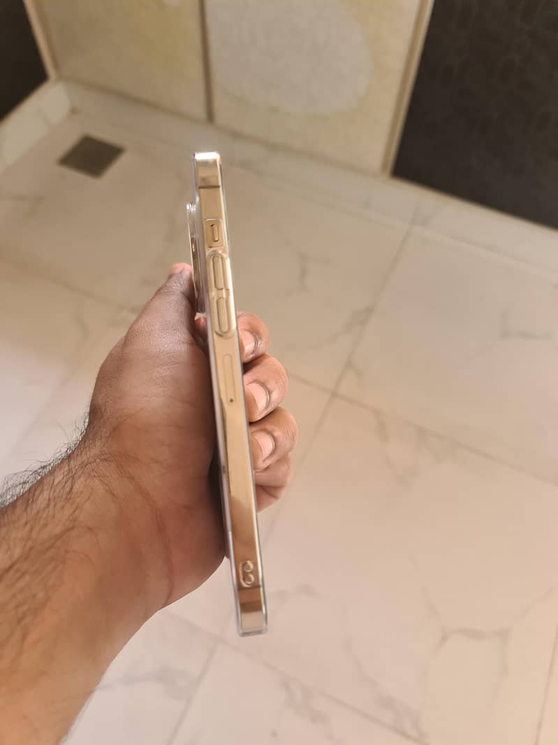 IPhone 13 Pro Max 2