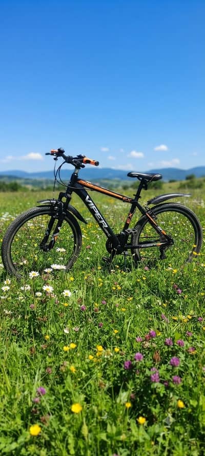 Viper Mountain Bicycle