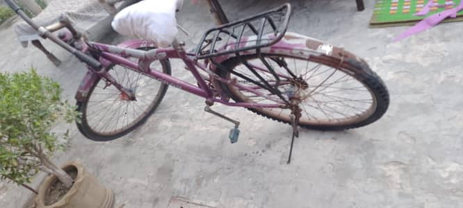 Best Cycle