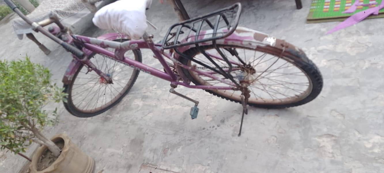 Best Cycle 0