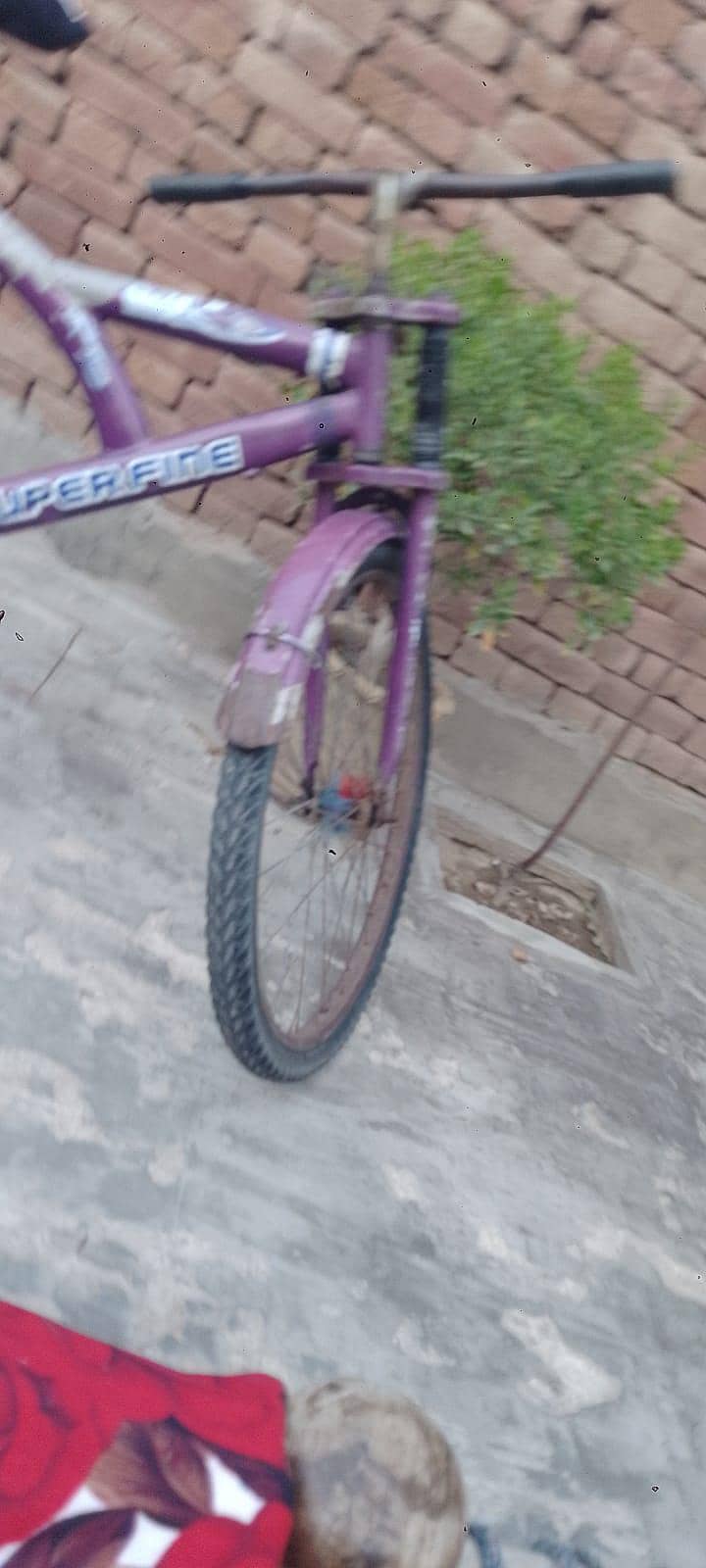 Best Cycle 1