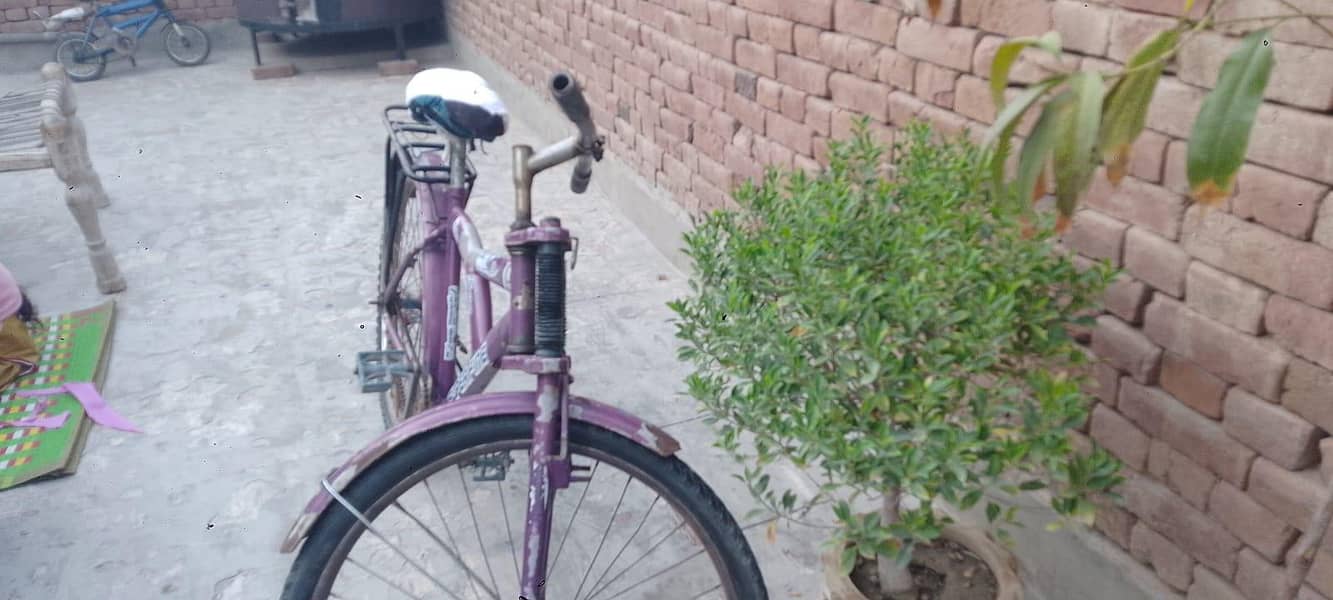 Best Cycle 4